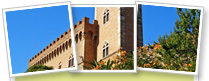 Bolgheri e dintorni