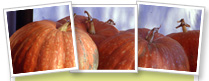 Offerte Speciali