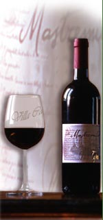 Wine production near Bolgheri, "Villa La Caprareccia": Red Mastremilio Toscana vines: merlot e cabernet